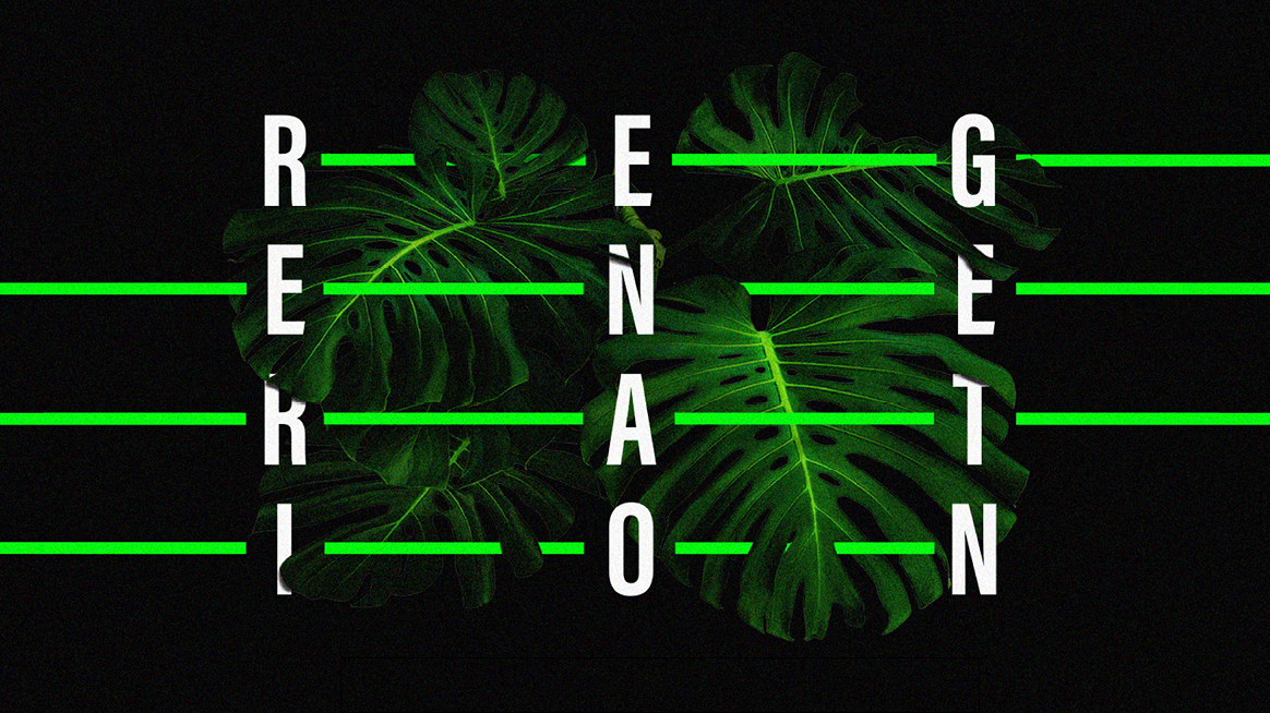 Nature Regeneration