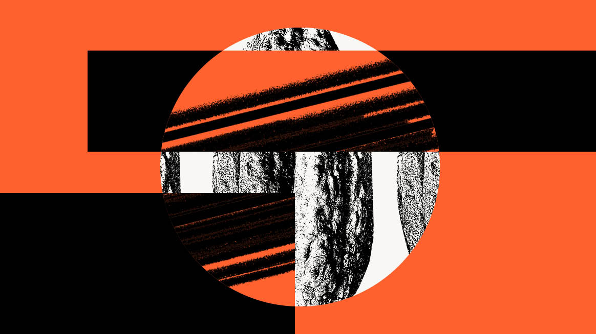 The Bitter Truth Behind The Chocolate Vanishing Act